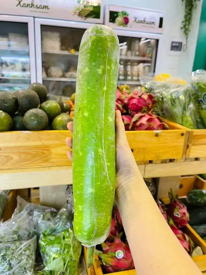 Bầu sao hữu cơ - TCVN - Mai Linh - Ảnh 2