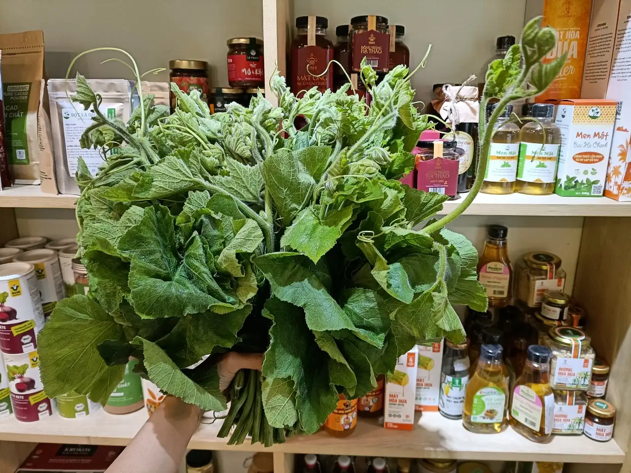 NGỌN SU SU hữu cơ - USDA Organic - Rau Đại Ngàn - Thạch Thất - Ảnh 2