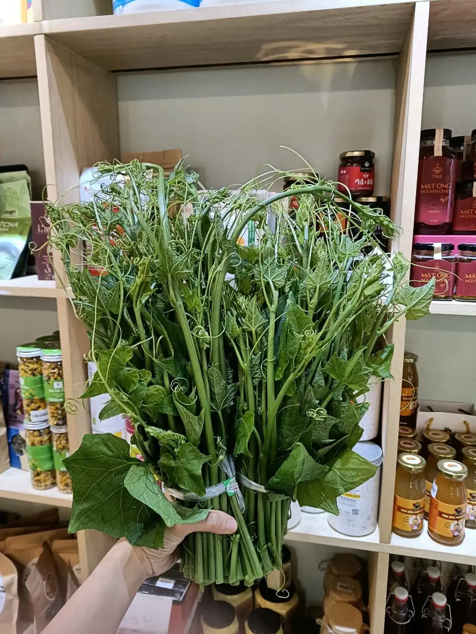 NGỌN BÍ hữu cơ - USDA Organic - Rau Đại Ngàn - Thạch Thất - Ảnh 2