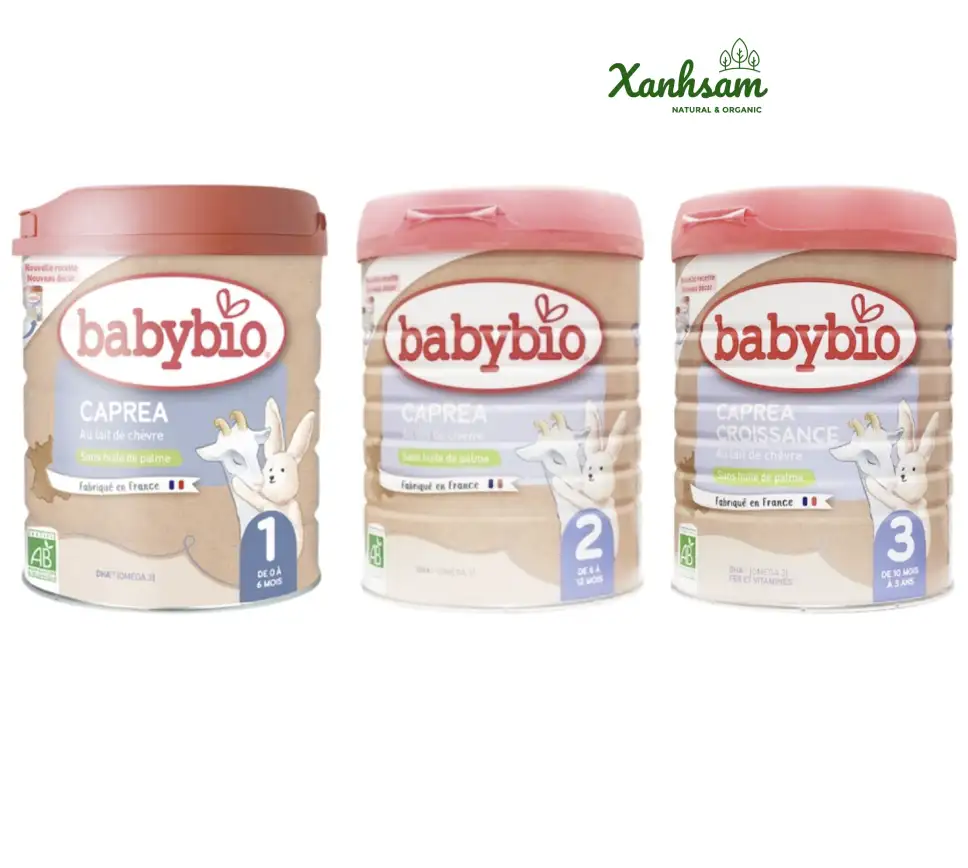 SỮA DÊ hữu cơ số 3 ( 10-36 tháng ) – Babybio – 800g