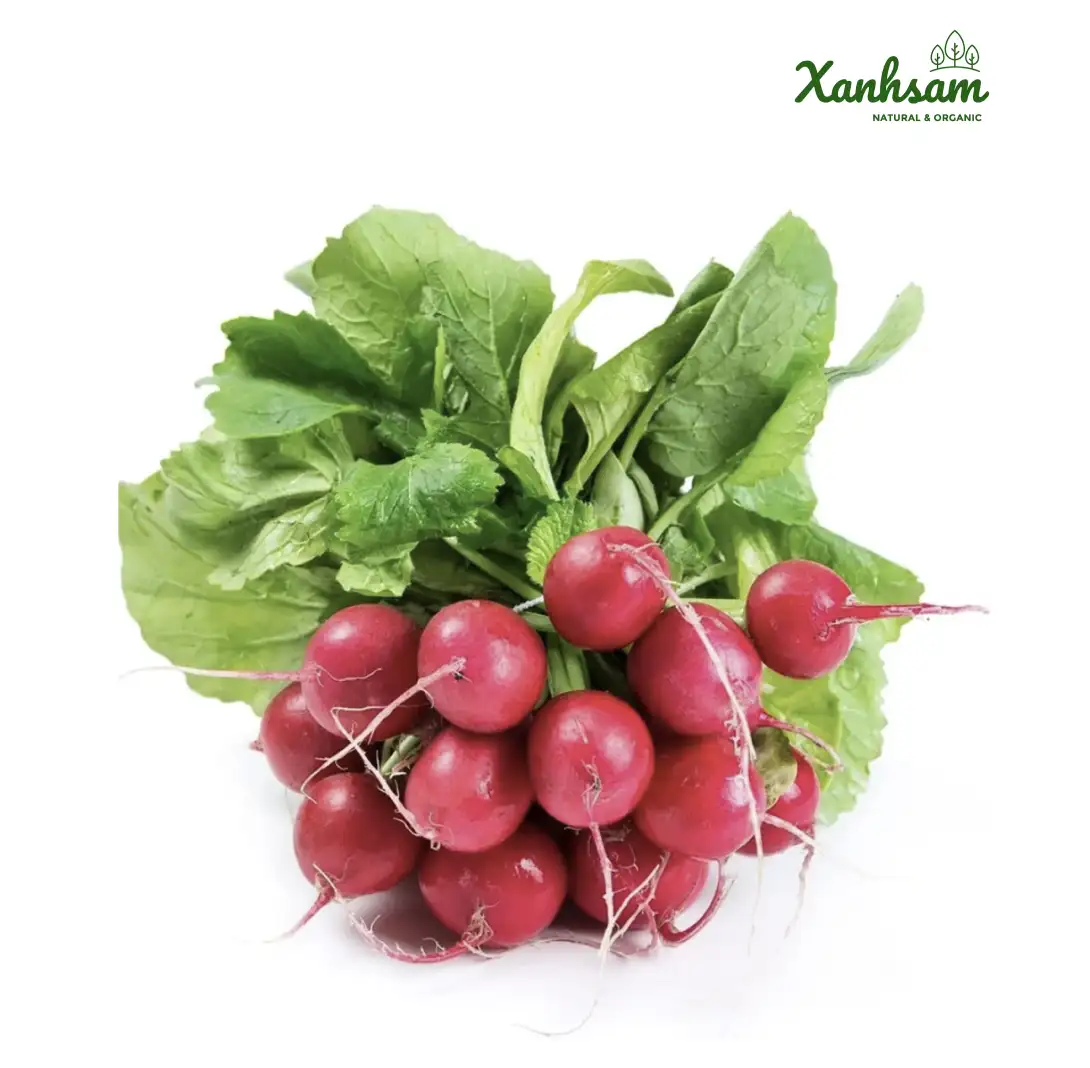 Củ cải đỏ hữu cơ – TCVN – Thênh Thang farm