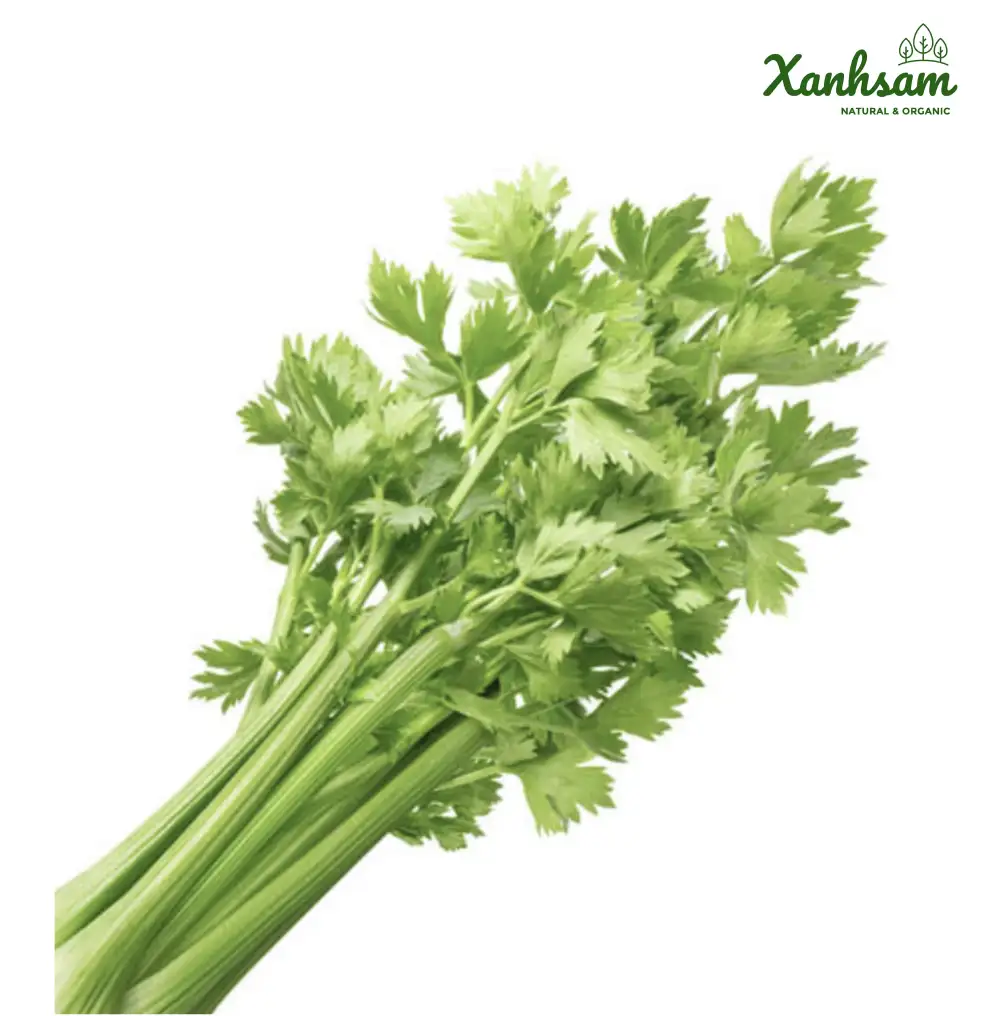 Cần tây hữu cơ – TCVN – Mai Linh farm – Sơn La
