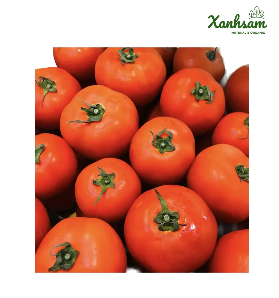 Cà chua hữu cơ – TCVN – Mai Linh Farm