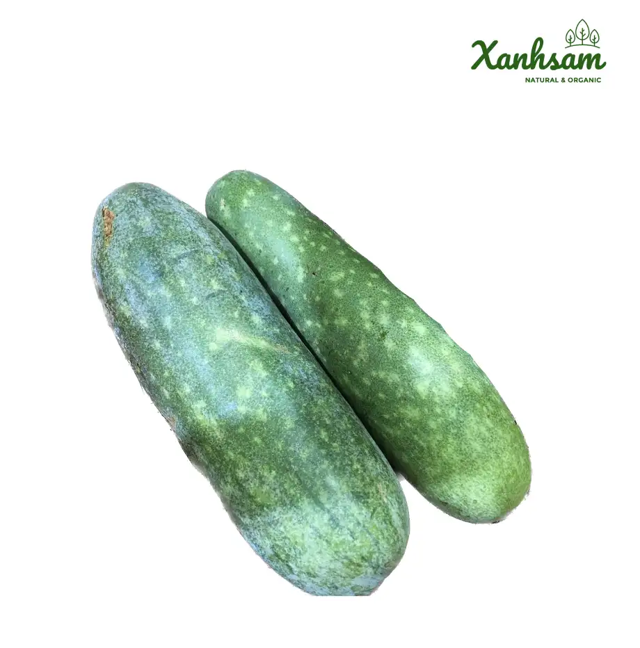 Bí xanh hữu cơ – TCVN – Mai Linh farm