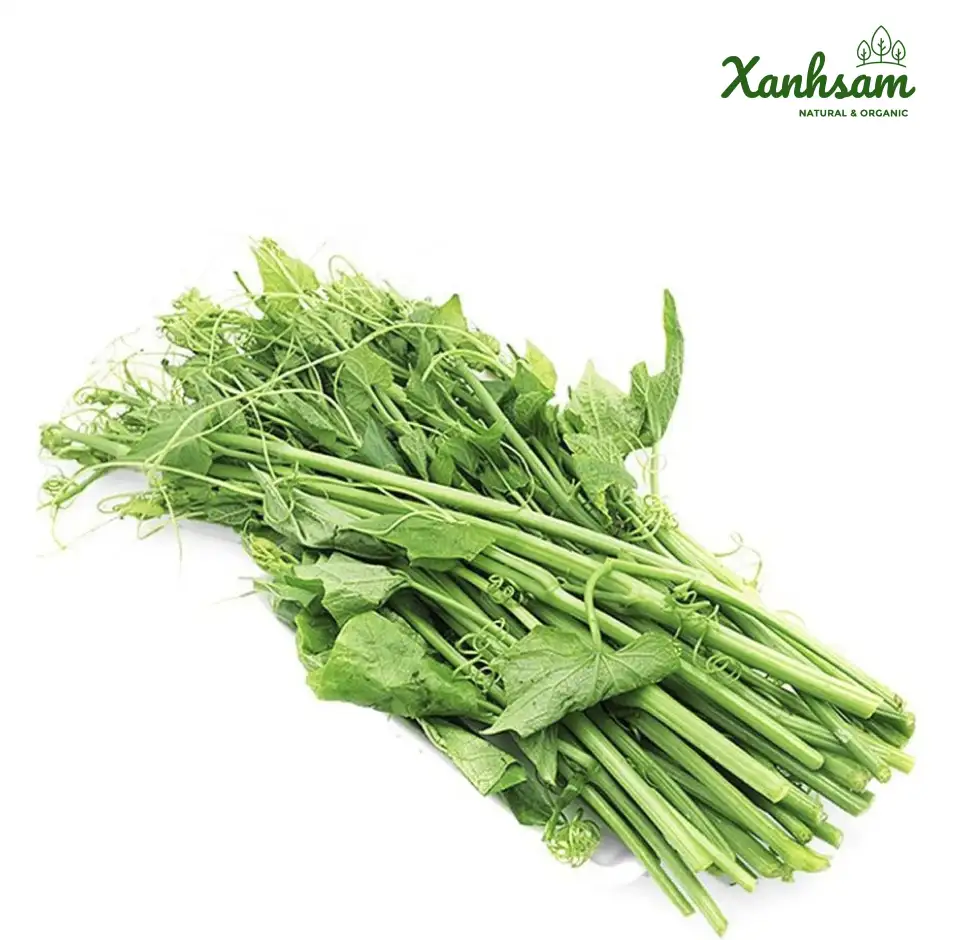 NGỌN SU SU hữu cơ – USDA Organic – Rau Đại Ngàn – Thạch Thất