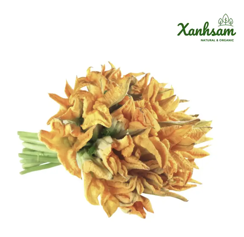 HOA BÍ hữu cơ – USDA – Đại Ngàn – Thạch Thất